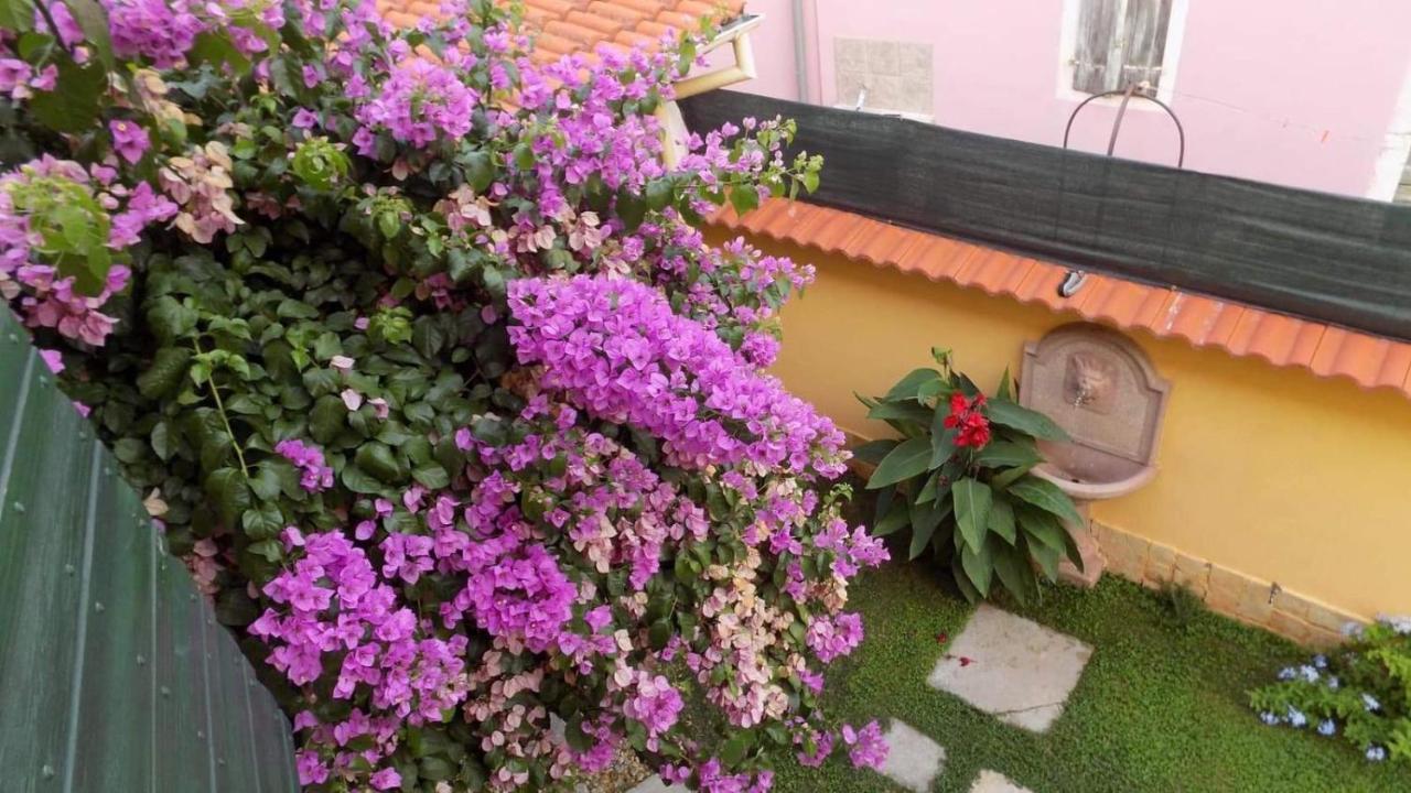 House Justina Villa ซาดาร์ ภายนอก รูปภาพ