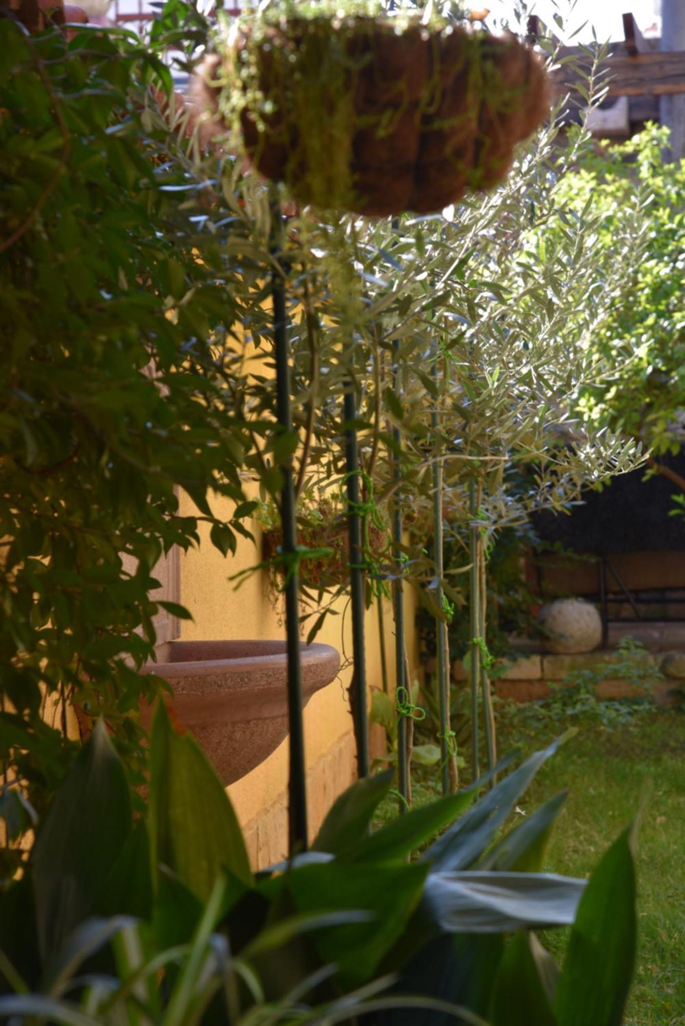 House Justina Villa ซาดาร์ ภายนอก รูปภาพ