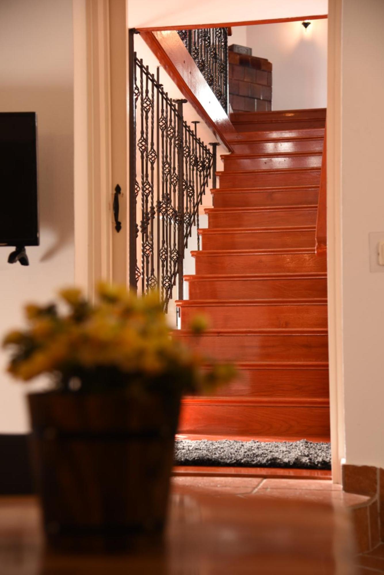 House Justina Villa ซาดาร์ ภายนอก รูปภาพ